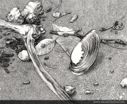 hatanpaa1.jpg hatanpaa1